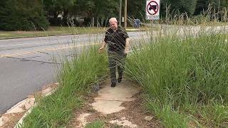 Veterans call weed growth outside of Cobb VA building ‘a disgrace’