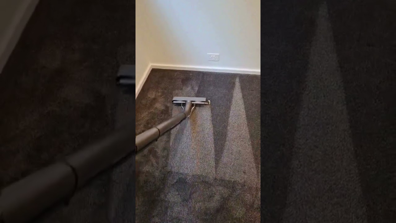Wet Carpet Drying in Geelong | Emergency Flood Restoration Experts