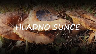 Hladno sunce || Cold sun