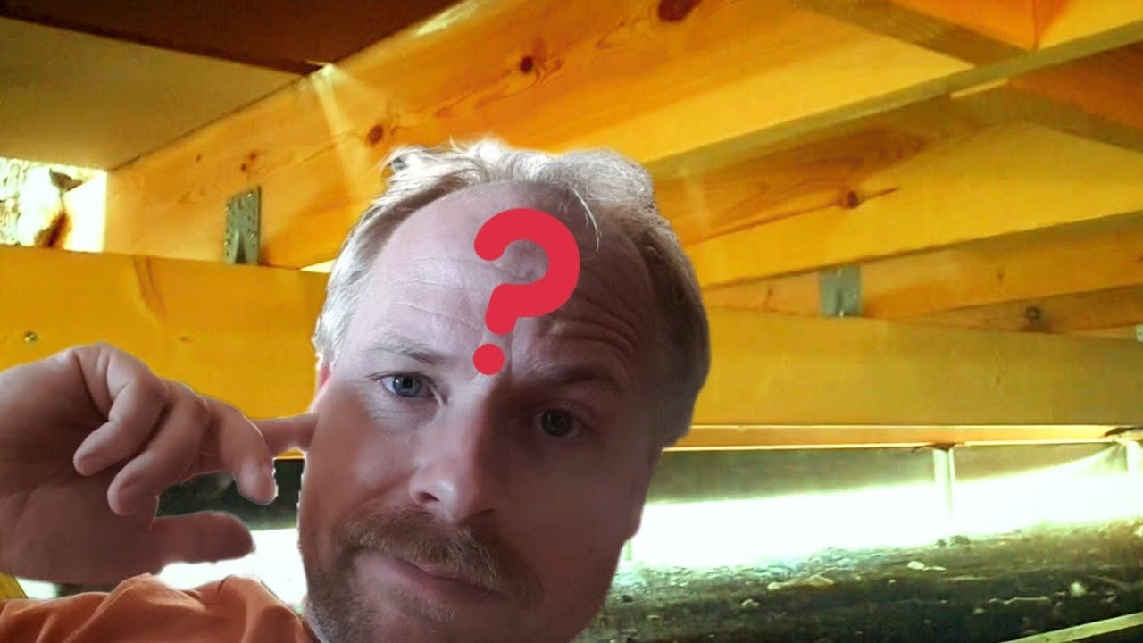 Jak zrobić podłogę nad gruntem w domu szkieletowym. Fundament punktowy. Właściwy przekrój.