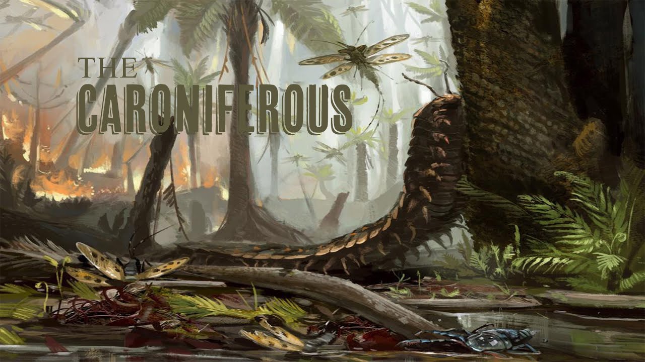 The Age Of Giant Insects, Amphibians And The First Egg! - YouTube