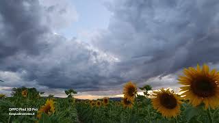 Time-Lapse Tramonto 8 Luglio 2025