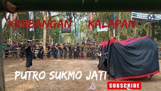 Download lagu PART 2 | PUTRO SUKMO JATI | KEMBANGAN LAMUMAN | MBEROT KALAPAN