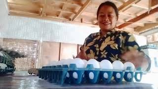 Naghatid kame Ng eggs sa ubay