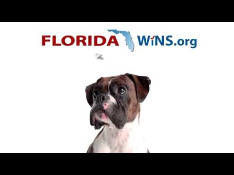 Learn Where Candidates Stand on the Issues at FloridaWins.org