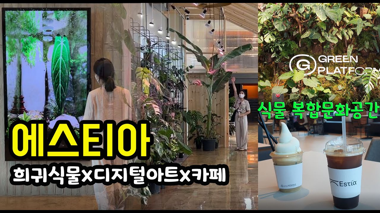 용인 희귀식물카페 에스티아(희귀식물, 카페, 갤러리, 복합문화공간)