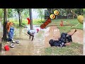 Try Not To Laugh Challenge 🤣 💎 LEVEL 37 |Instant Regret Fails Compilation 2025
