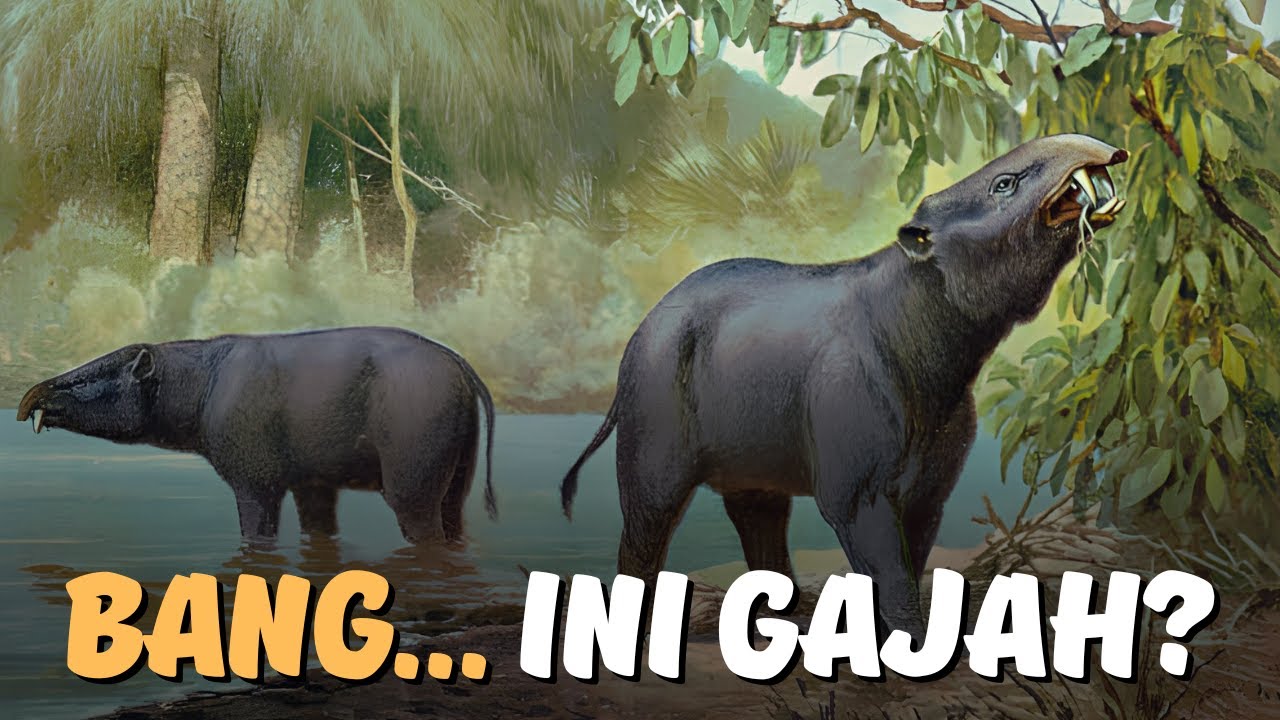 Keluarga Gajah Dulu Isinya Monster Absurd : Proboscidea