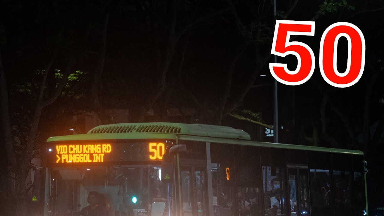 SG1894T - SBS Bus Service 50 [MAN NL323F (Euro VI)] - YouTube