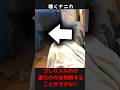 【トラウマ注意!】カメラが捉えたぞっとする心霊・恐怖映像! #shorts #心霊 #ゆっくり解説