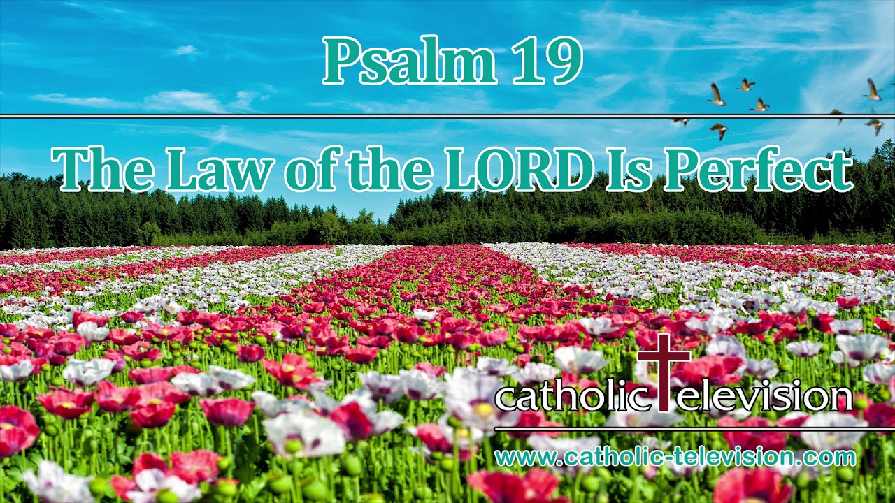 Psalm 19 | The Law of the Lord Is Perfect | Christian Daily Messages ...