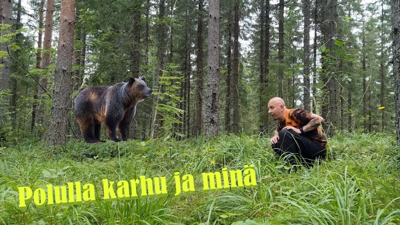 Lastujärven metsäpolku, Tuupovaara