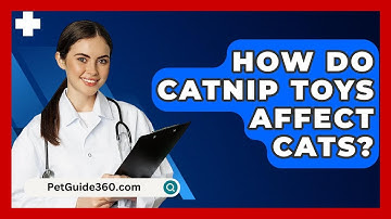 How Do Catnip Toys Affect Cats? - PetGuide360.com