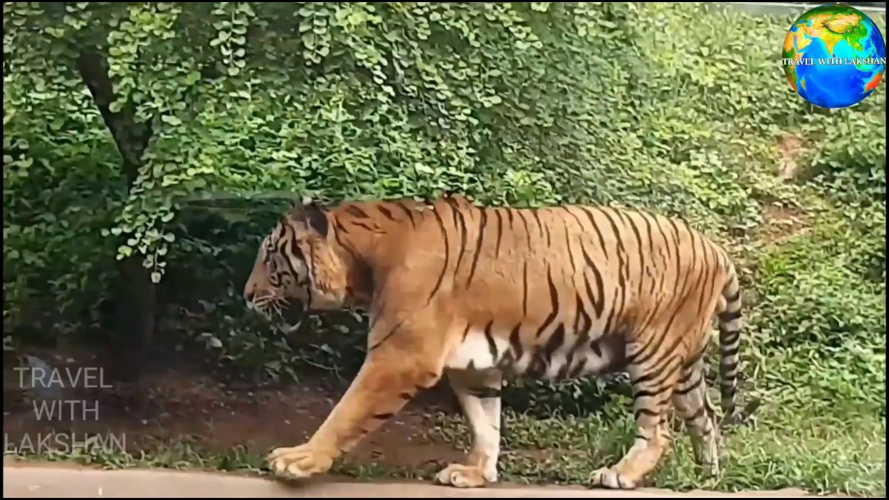 travel-with-lakshan-youtube