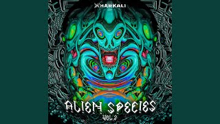 Download Lagu Hammer Brains MP3