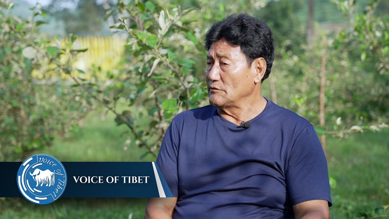 Interview with Sangay Tenpa on his Apple Ber cultivation