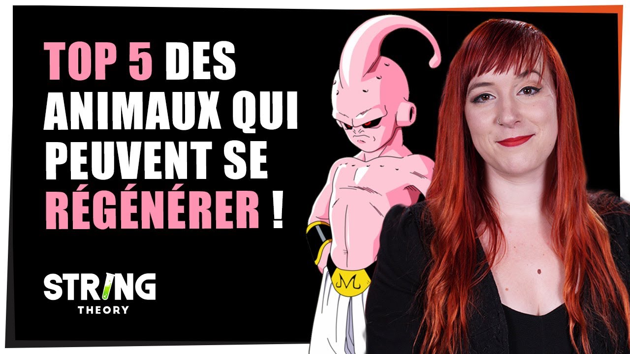 TOP 5 des animaux capables de se regénérer - Castor Mother #34 - String Theory
