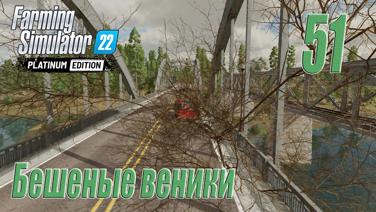 Farming Simulator 22 [карта Сильверран], #51 Бешеные веники
