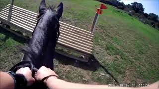 Littles farm XC, novice pairs 2ft6