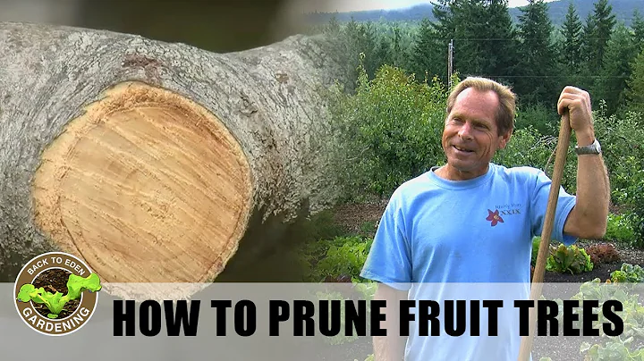 Back to Eden Gardening - How To Prune Fruit Trees ...