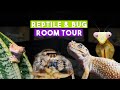 Reptile  bug room tour 2022