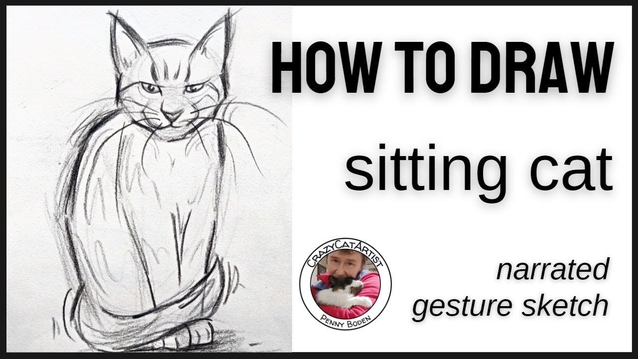 Sitting Cat  Iterative Drawing by DrawingDiversions on DeviantArt