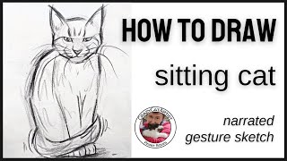 How to Draw a Cat Sitting Down face forward, full body upright simple sketch tutorial, beginner & up