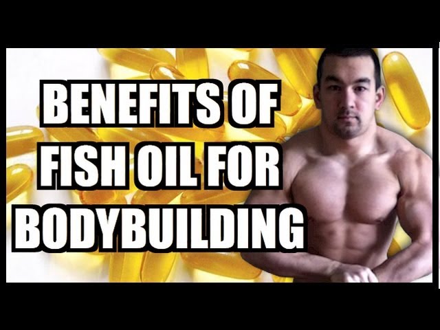 The Benefits Of Fish Oil For Bodybuilding - Youtube