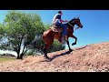 CAN YOU HANDLE THIS WITHOUT ME?  | TRAINING HORSES