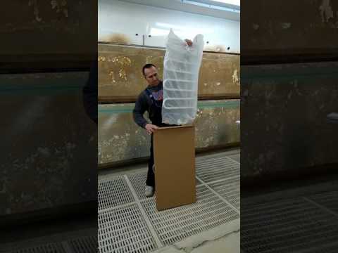 Полотенцесушитель ELNA Флюгер-4 (белый) Полотенцесушитель ELNA Флюгер-4 (белый)