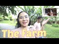 The Farm at San Benito - New Normal (October 5, 2020.) | Anna Cay ♥