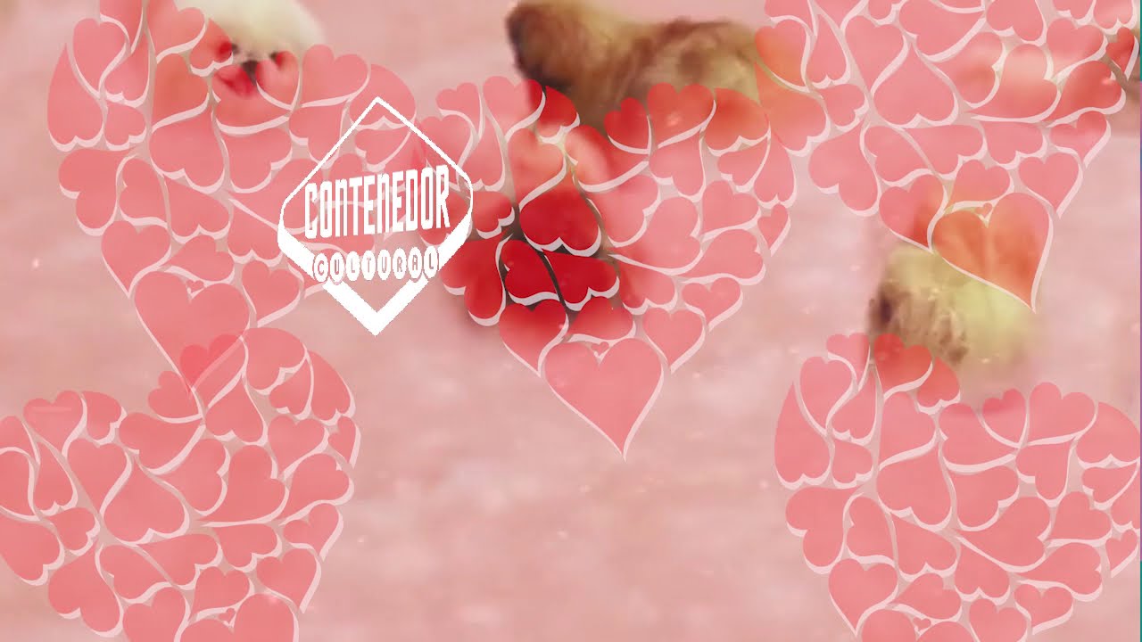 Contenedor Cultural. Programación febrero.