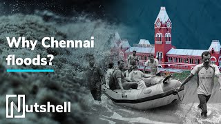 Why does Chennai flood every year? | Explained | Nutshell