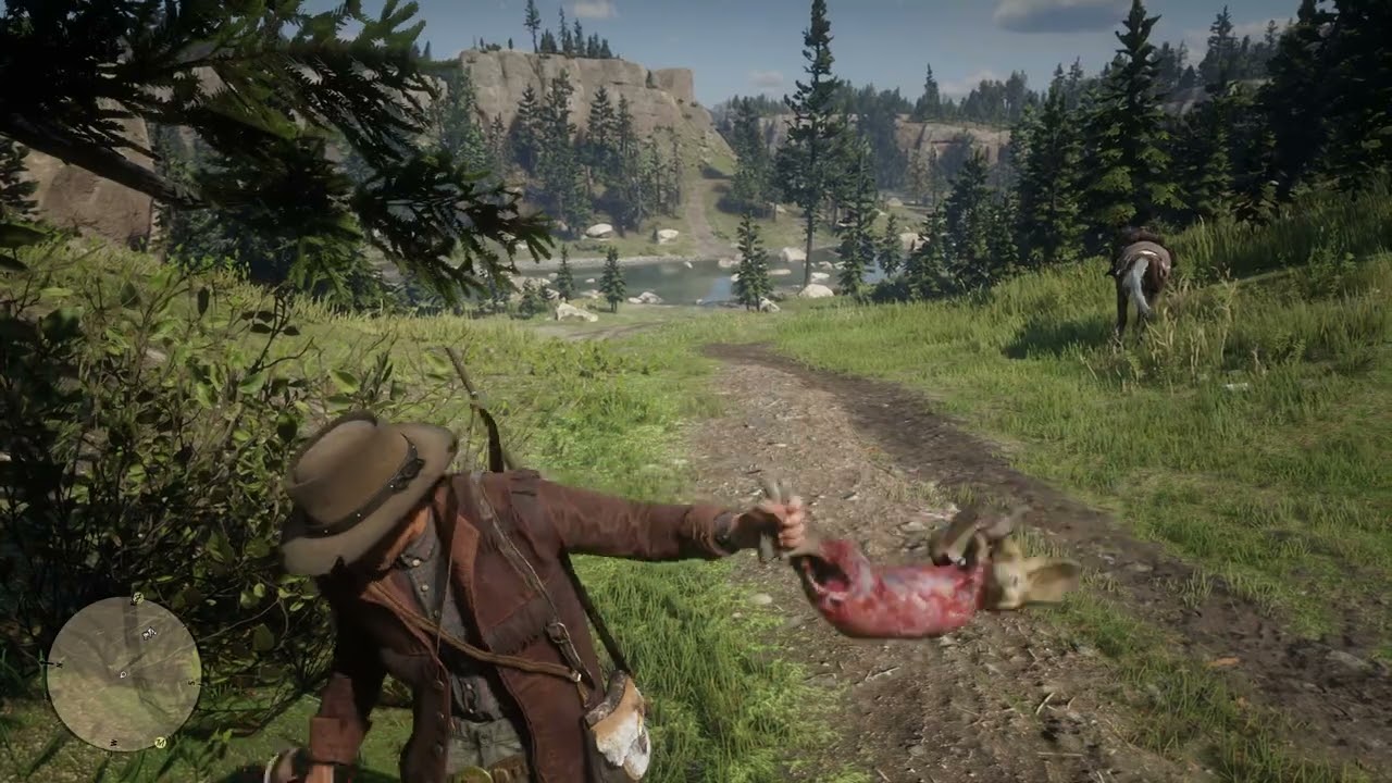 Red Dead Redemption II - 325
