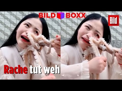 Video: Der Mund Einer Koreanischen Frau Wurde Von Einem Unzureichend Gekochten Tintenfisch Befruchtet