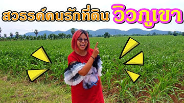 #ขายที่ดินโฉนดวิวภูเขา 14ไร่ น้ำ-ไฟครบ ปลูกบ้านพักตากอากาศสบาย เลาขวัญกาญจนบุรี #ที่ดินราคาถูก