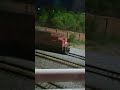 Cp- sd70acu Up- sd70ace