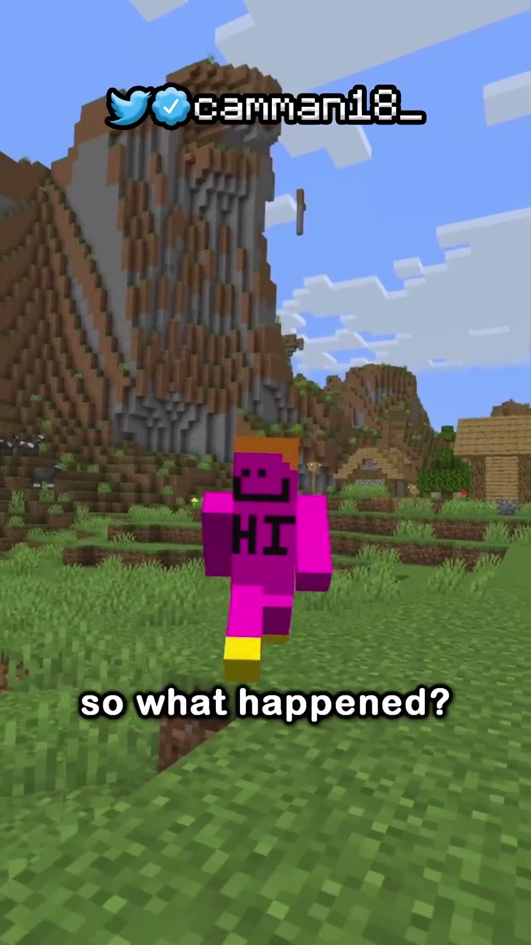 the biggest skill issue in minecraft...