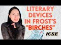 English prof explains literary devices in frosts poem birches analysis