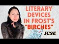 English Prof Explains Literary Devices in Frost's Poem, "Birches” Analysis