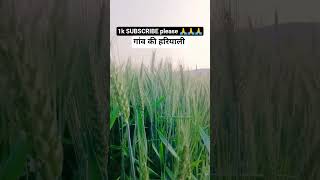 village nature lover....#viral #100kvews #1k #subscribe #shorts #village #ytshorts
