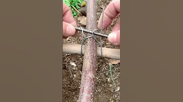 Tie wooden frame with wire