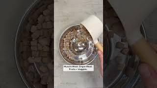 The Most Satisfying Way to Ditch Kibble - ASMR Dog Meal 👂✨ | We Feed Raw