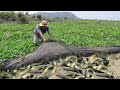 Amazing find a lot of catfish in mud dry season - New fishing 2020