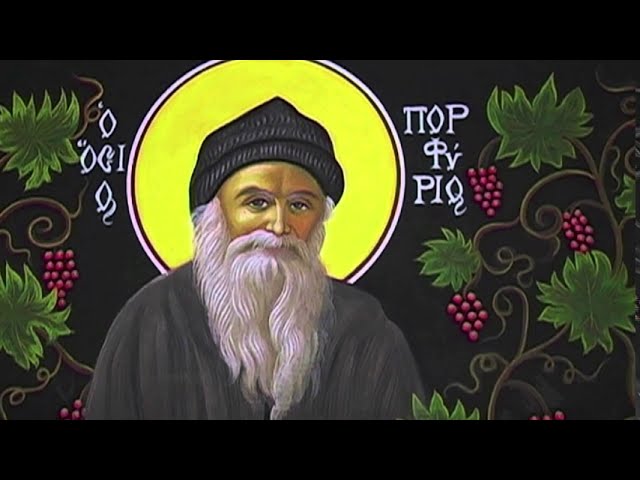 кислотные штаны