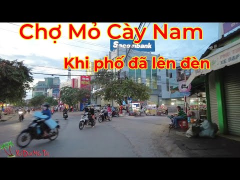 Video Lang thang chợ đêm Mỏ Cày Nam khó cưỡng với món dồi... - youtube