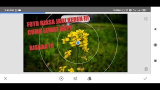Cara Edit Foto Bunga dengan Efek Blur dan Vignete di Snapseed screenshot 5