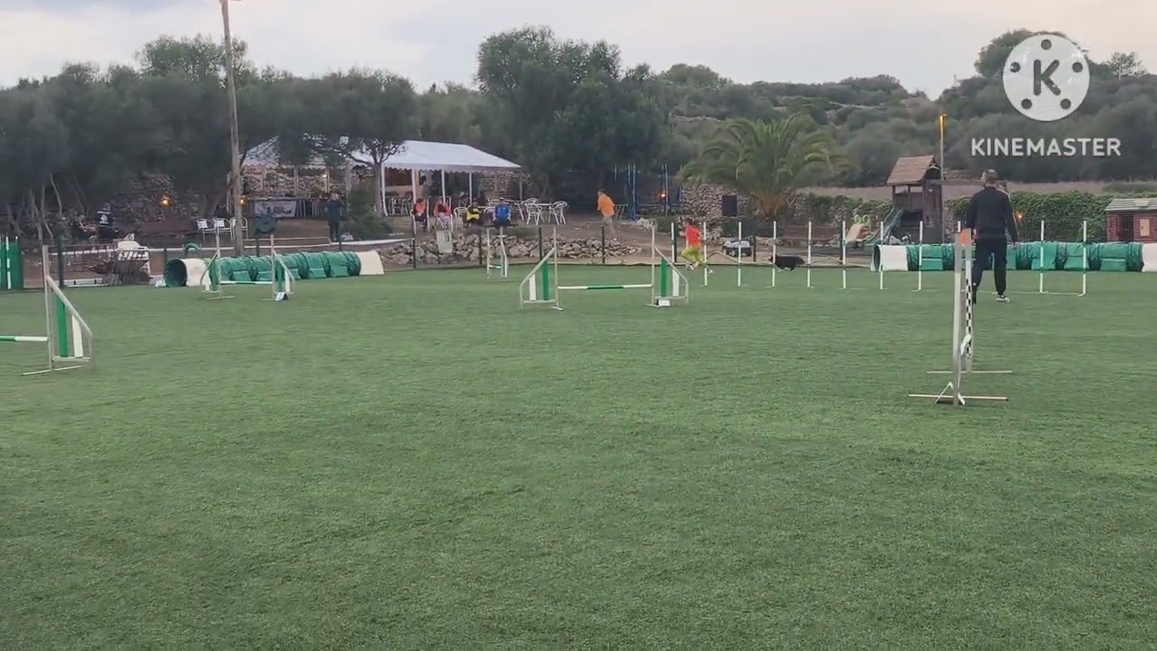 2025-10-12 PRUEBA AGILITY RFEC 2025-26 ( Baleares) ADA & Asap Infantil . Juez Adrián Granda