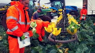 Working with Scotland's finest growers