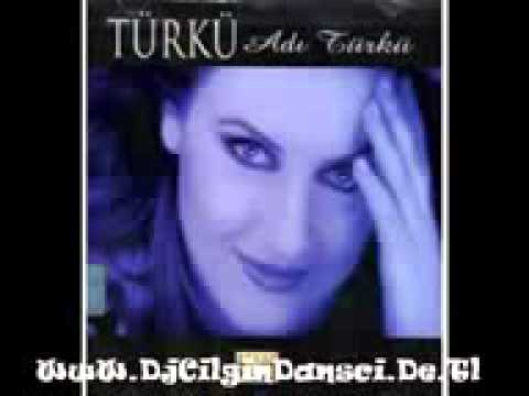 dj cilgin dansci vs turku unutursun remix 2012 Seslired.Com